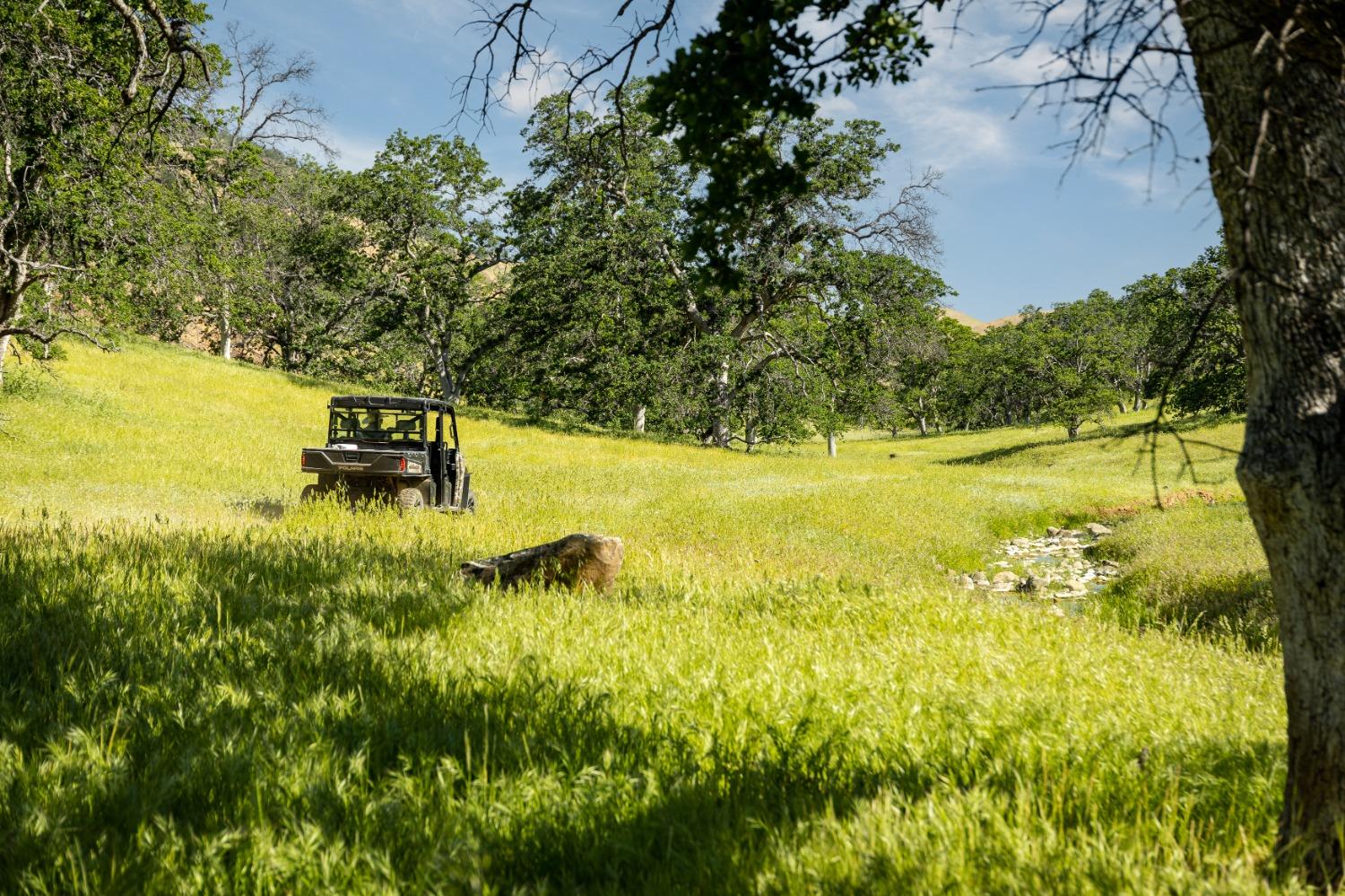 Harlan Road, Williams, California image 10