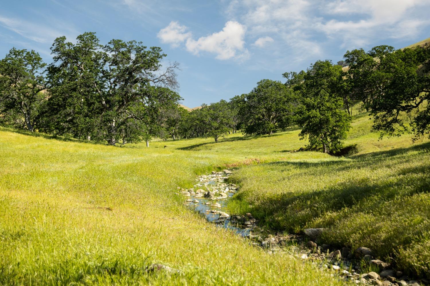 Harlan Road, Williams, California image 11