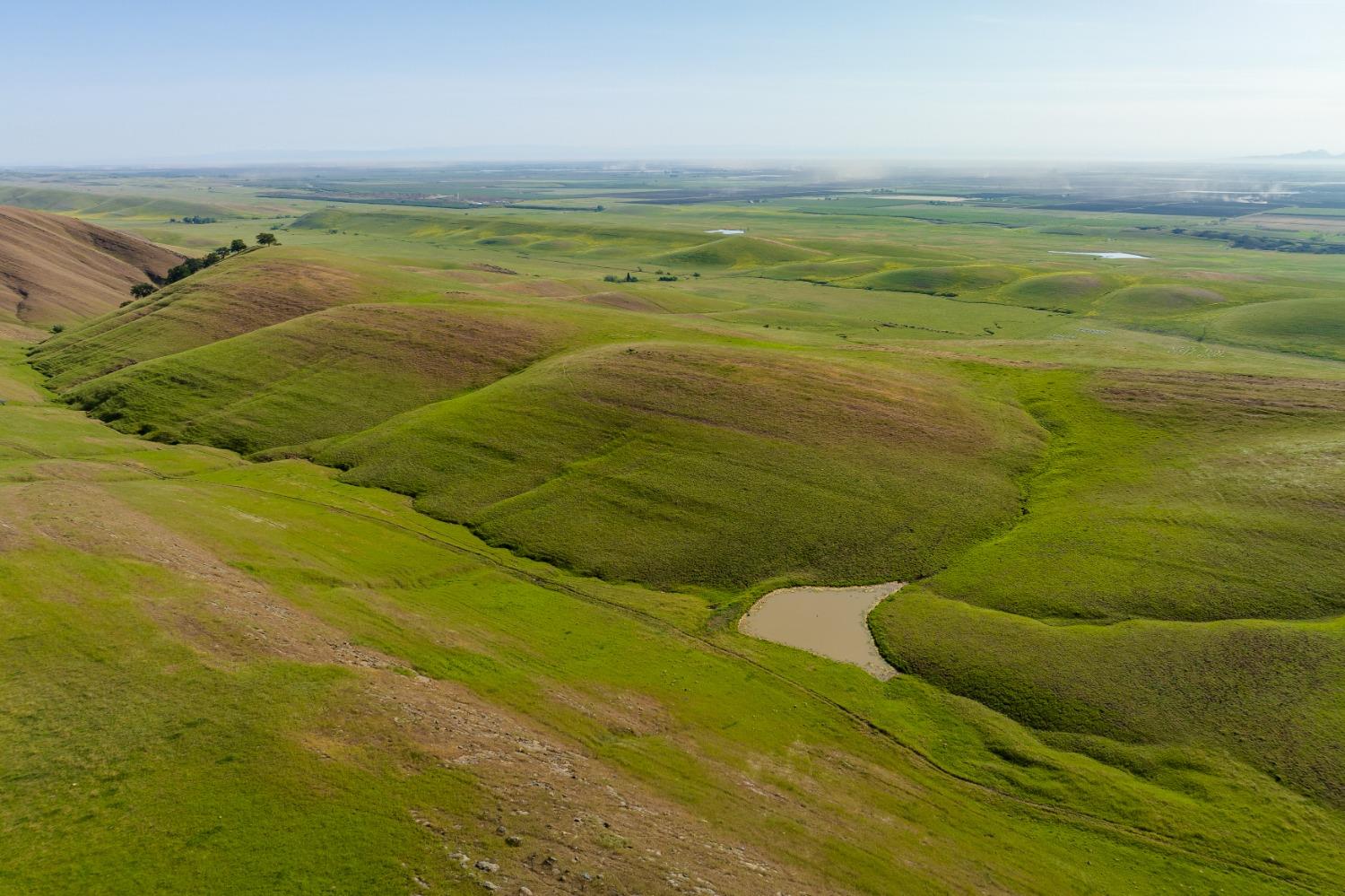 Harlan Road, Williams, California image 16