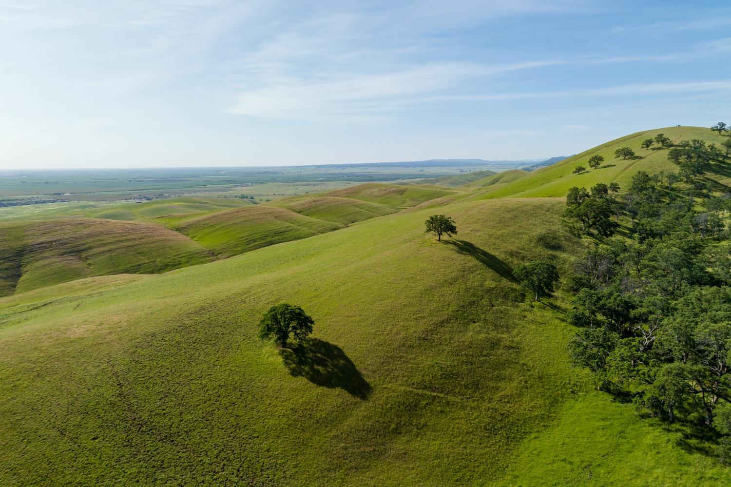 Harlan Road, Williams, California image 18