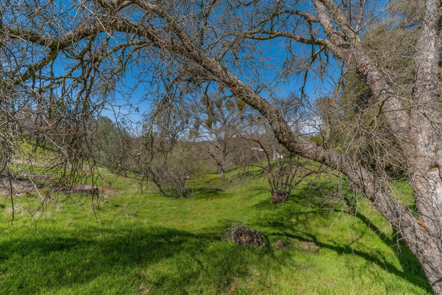 Gods Hill Rd., Amador City, California image 15