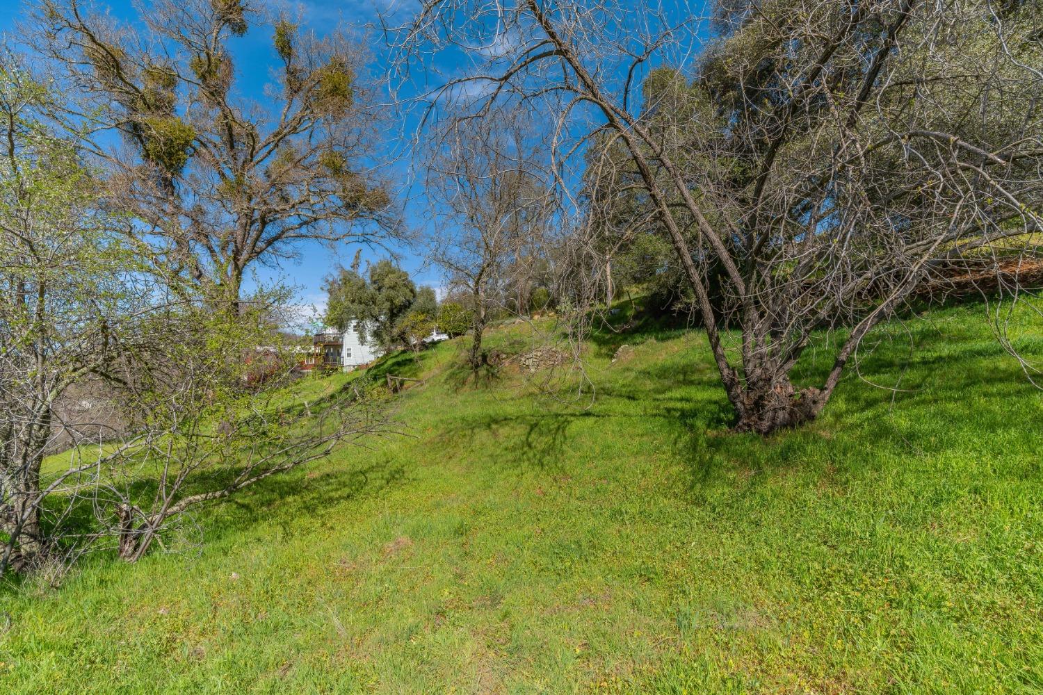 Gods Hill Rd., Amador City, California image 9