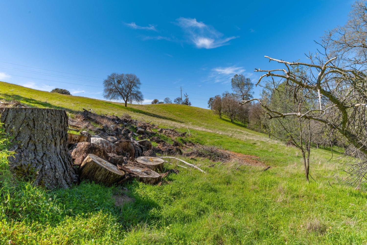 Gods Hill Rd., Amador City, California image 8