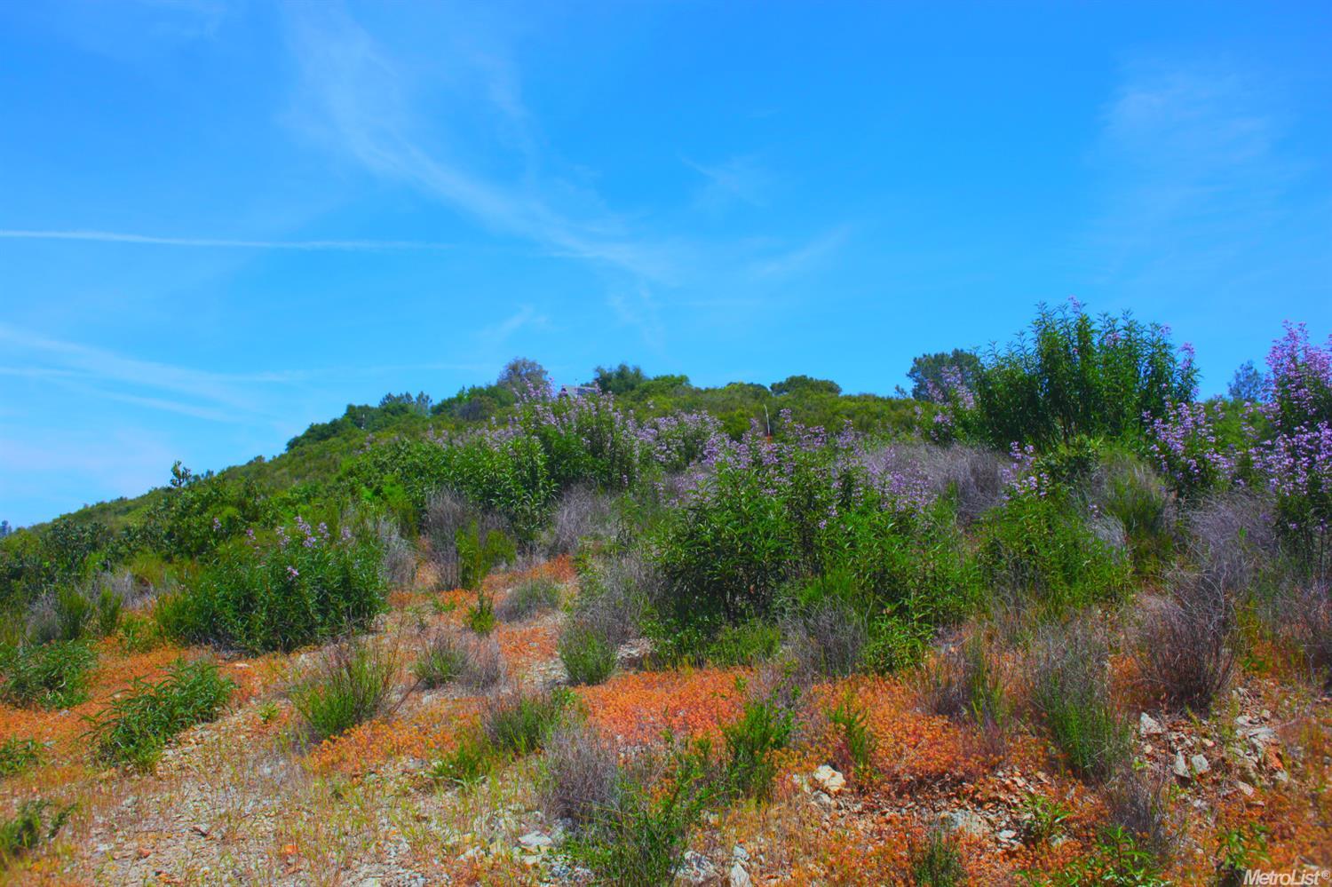 Mount Murphy Road, Garden Valley, California image 4