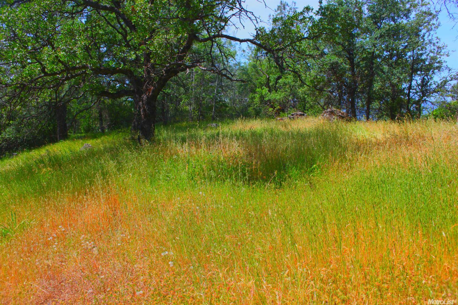 Mount Murphy Road, Garden Valley, California image 7