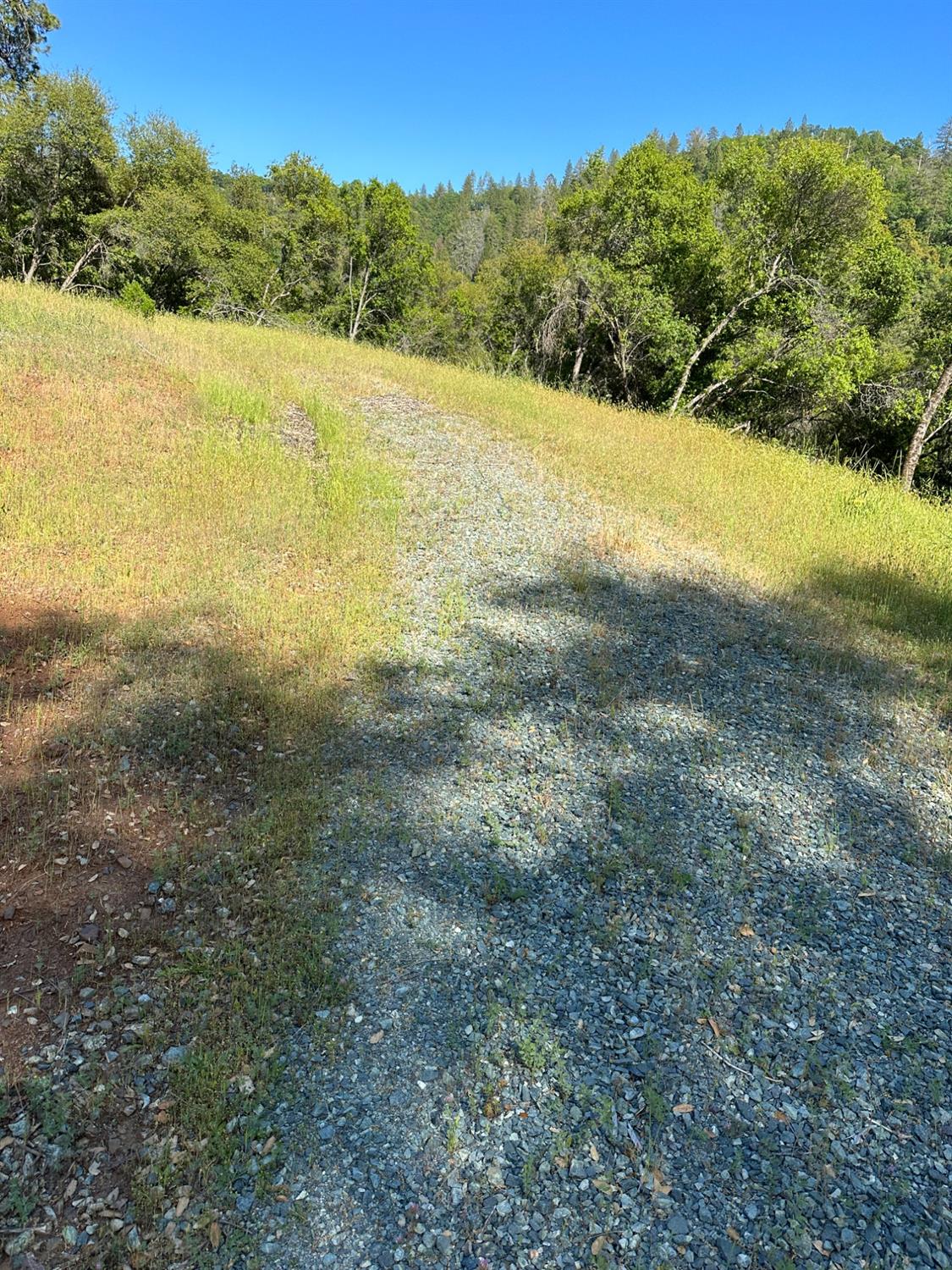 Meadow Lark Lane, Sutter Creek, California image 8