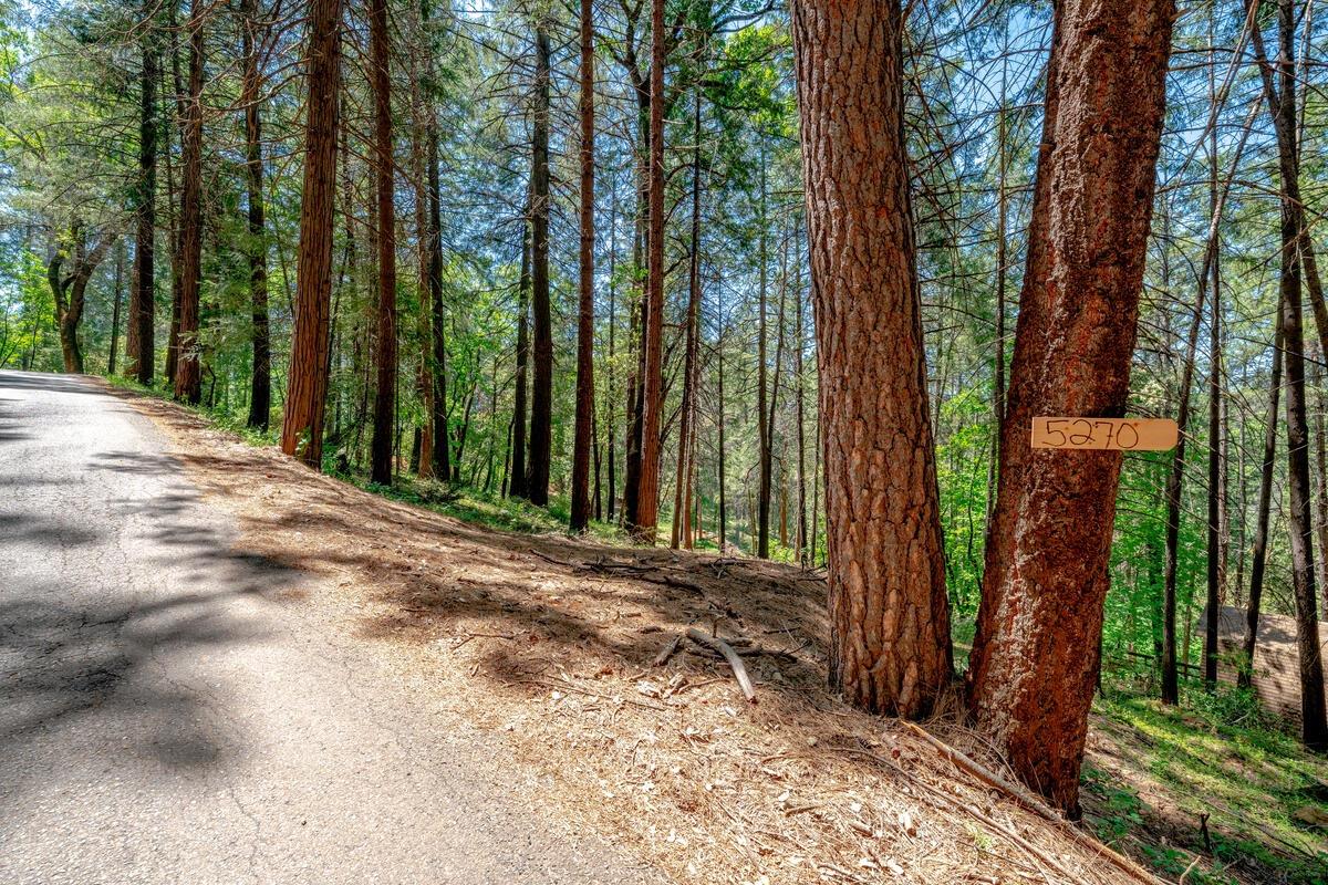 Photo of Mckeon Ponderosa Rd in Foresthill, CA