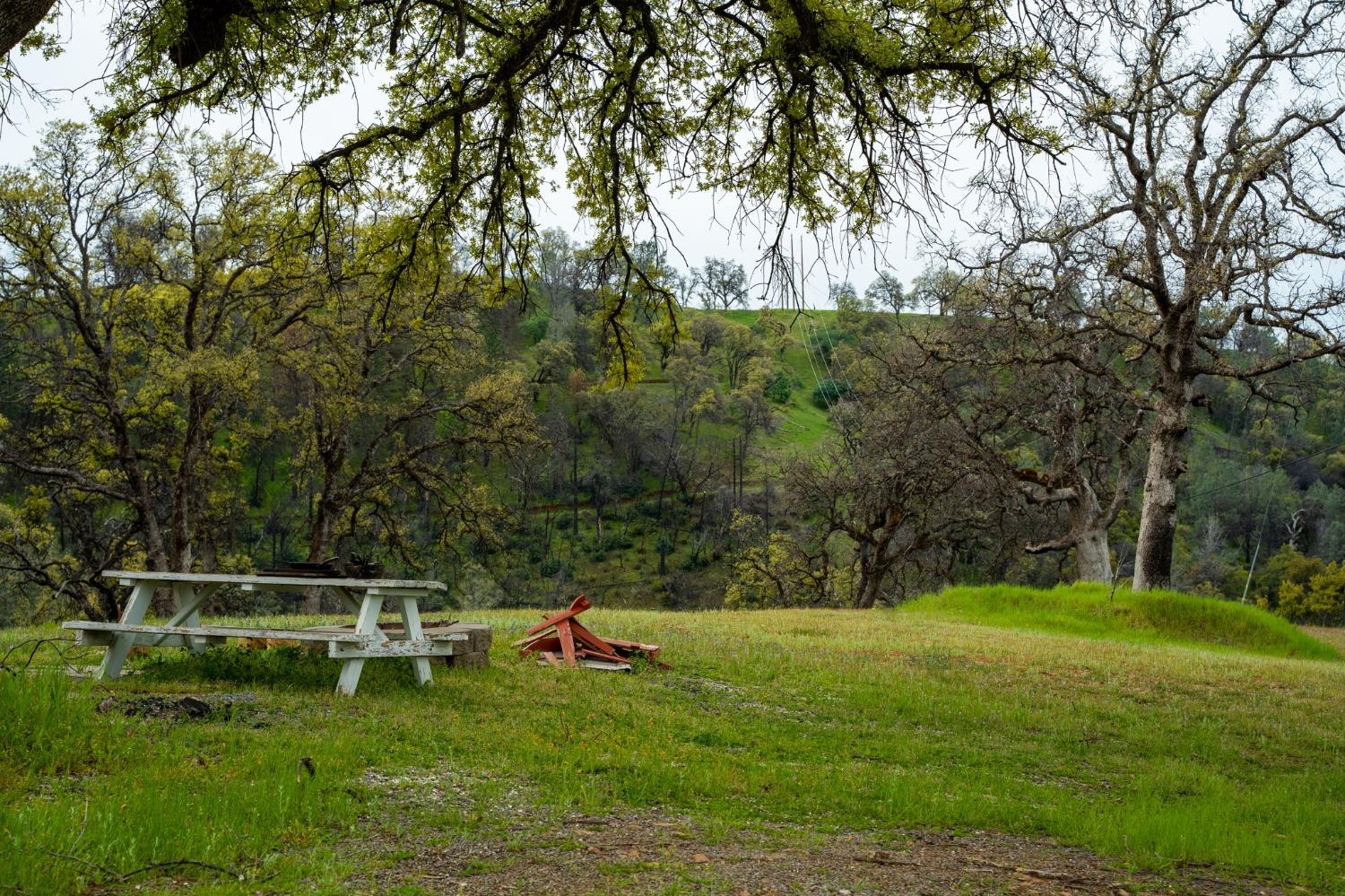 Mayberry Road, Berry Creek, California image 11