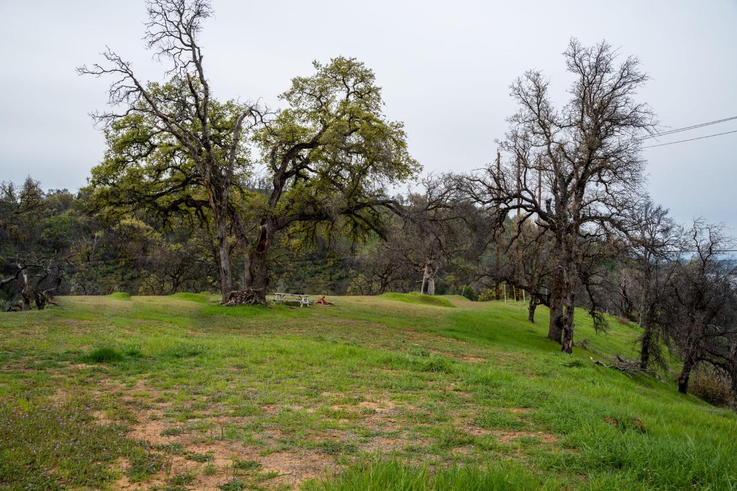 Mayberry Road, Berry Creek, California image 4