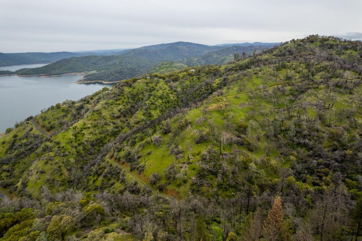 Mayberry Road, Berry Creek, California image 19