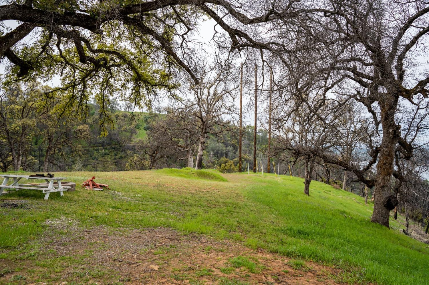 Mayberry Road, Berry Creek, California image 5