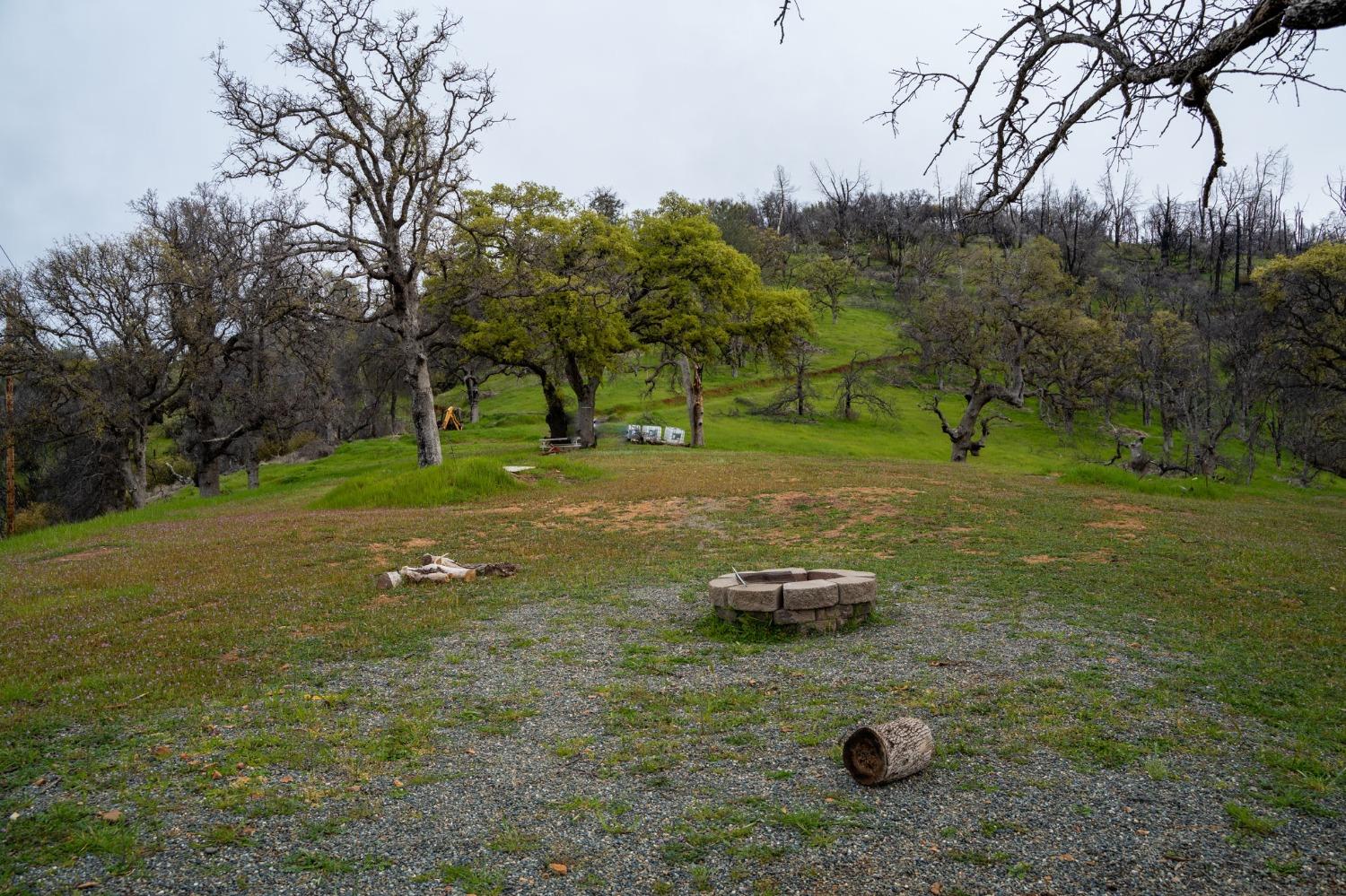 Mayberry Road, Berry Creek, California image 9