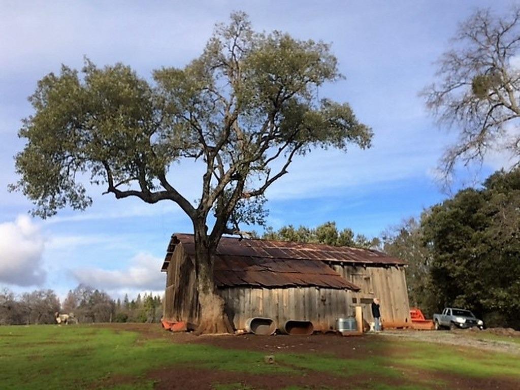 Jesus Maria Rd, Mokelumne Hill, California image 5