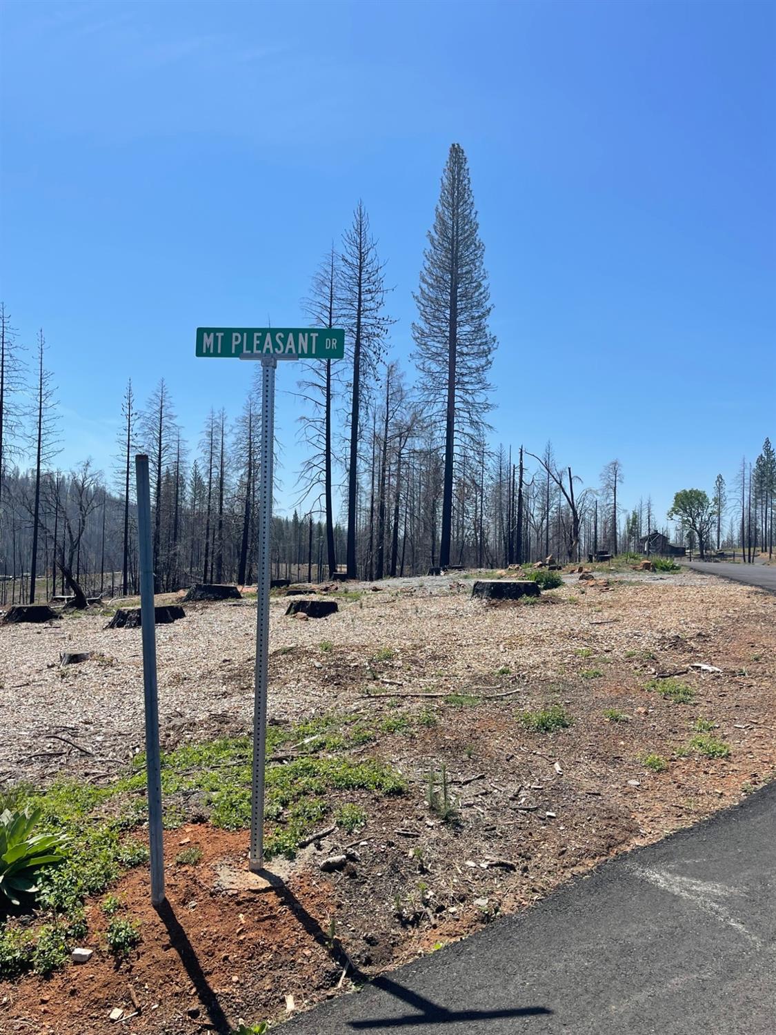 Photo of 5031 Woodridge Dr in Grizzly Flats, CA