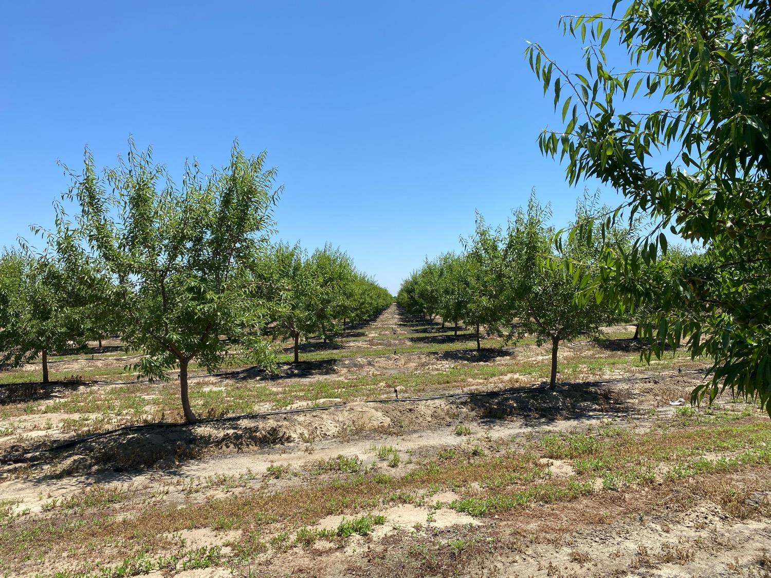 Pioneer Road, Hughson, California image 4