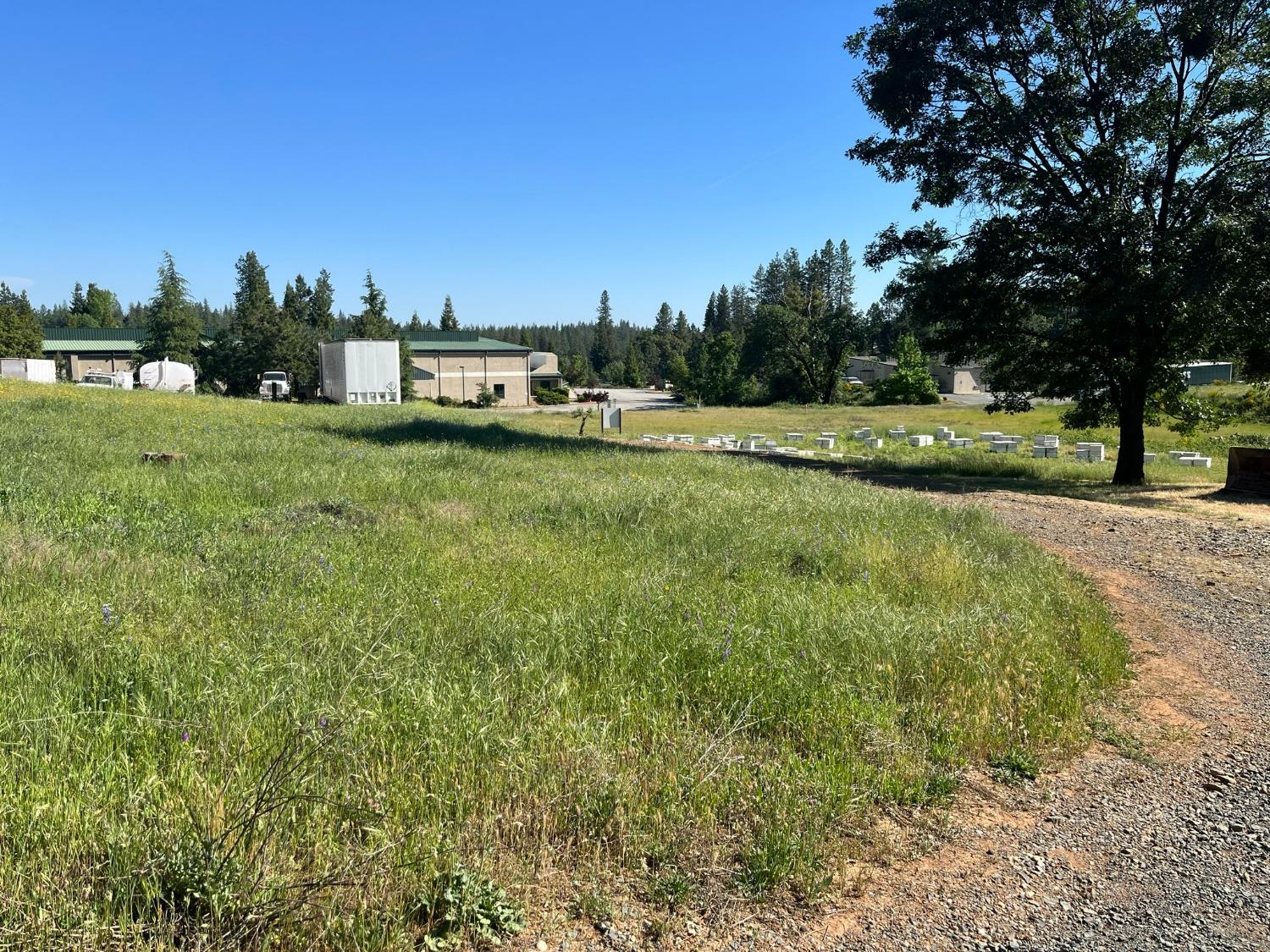 Whitcomb Avenue, Colfax, California image 8
