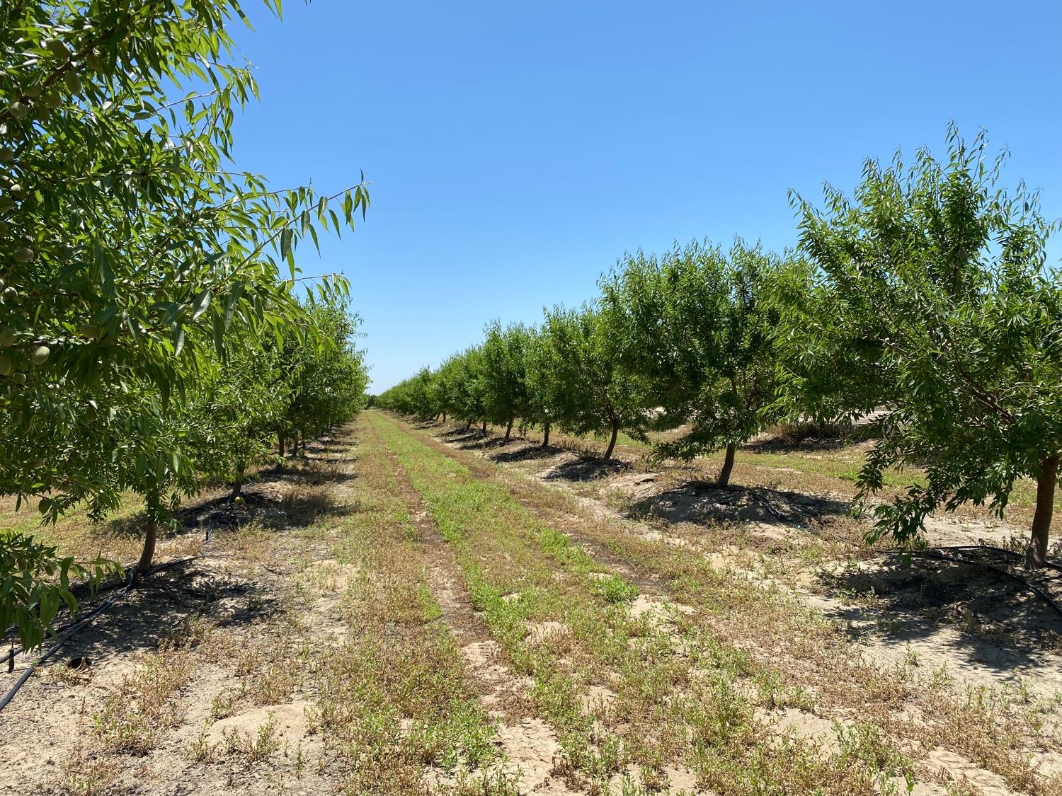 Pioneer Road, Hughson, California image 5