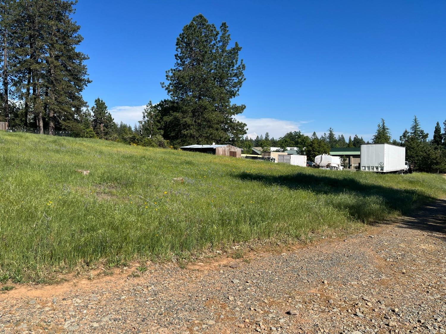 Whitcomb Avenue, Colfax, California image 2