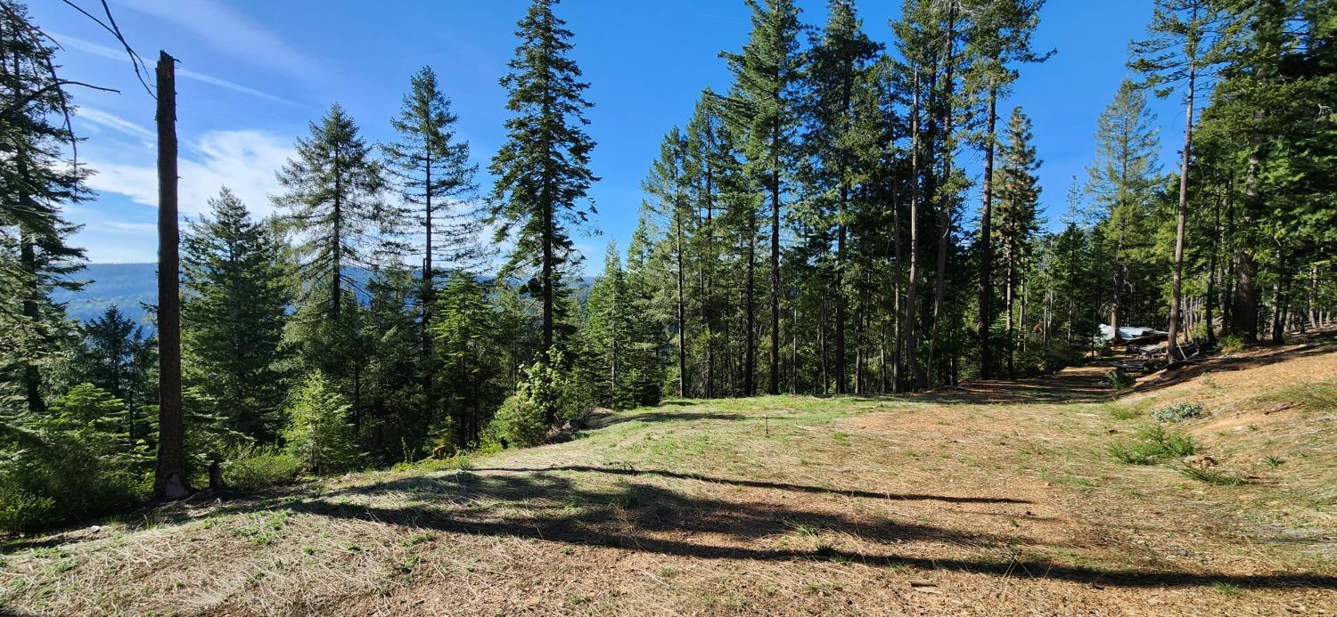 Detail Gallery Image 7 of 21 For 18286 Gaston Rd, Nevada City,  CA 95959 - – Beds | – Baths