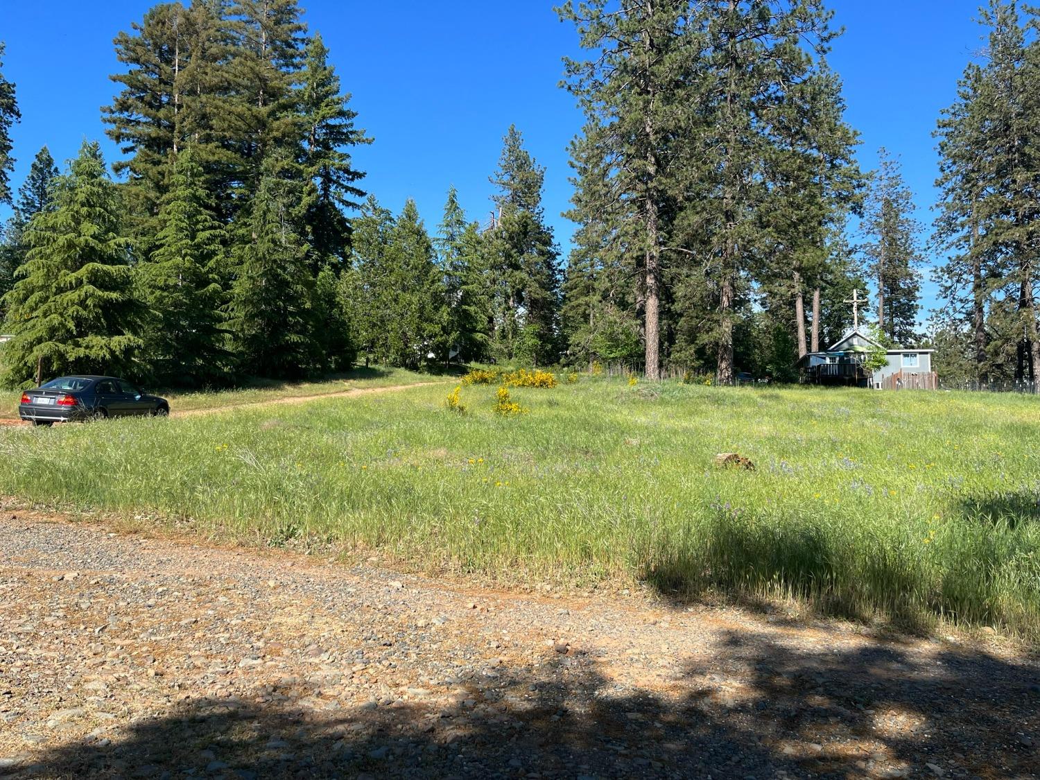 Whitcomb Avenue, Colfax, California image 5