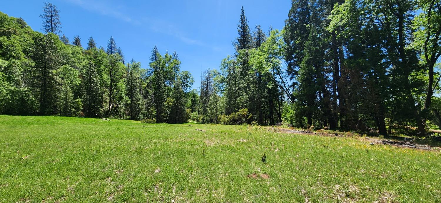 Detail Gallery Image 2 of 33 For 18904 Lake City Rd, Nevada City,  CA 95959 - – Beds | – Baths