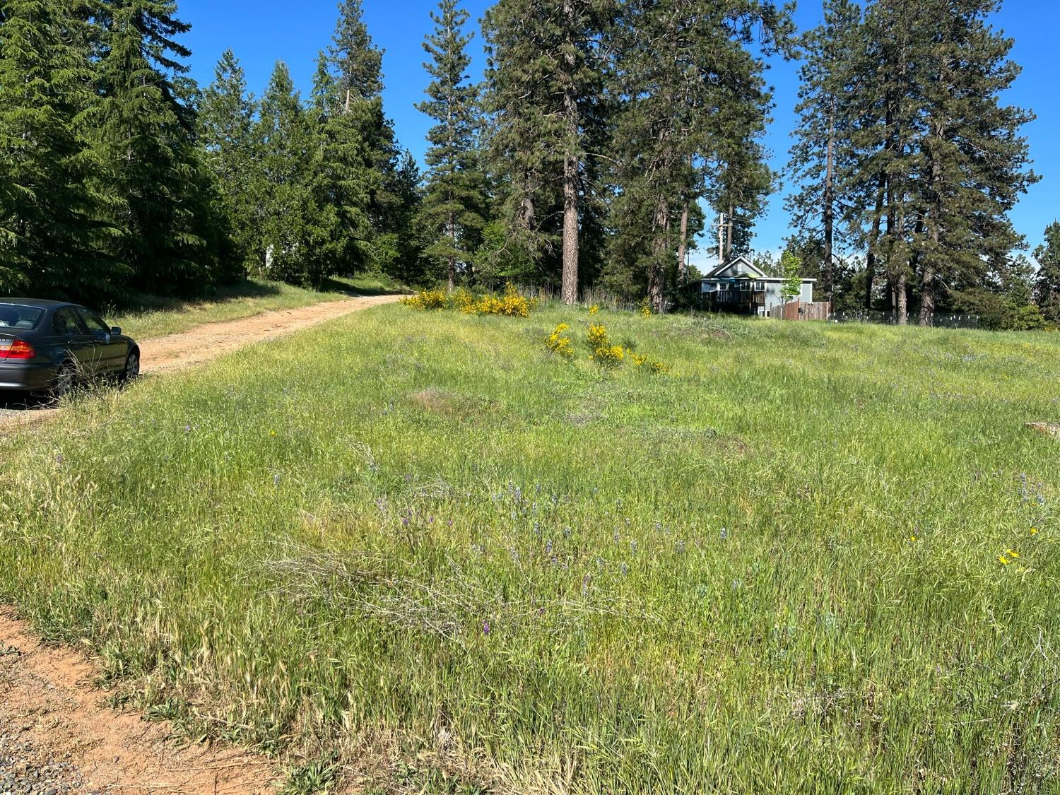Photo of Whitcomb Ave in Colfax, CA