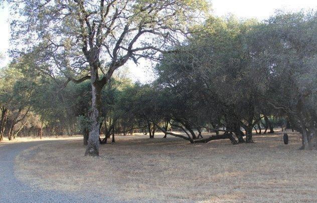 Photo of 14263 Neptune Ln in Browns Valley, CA