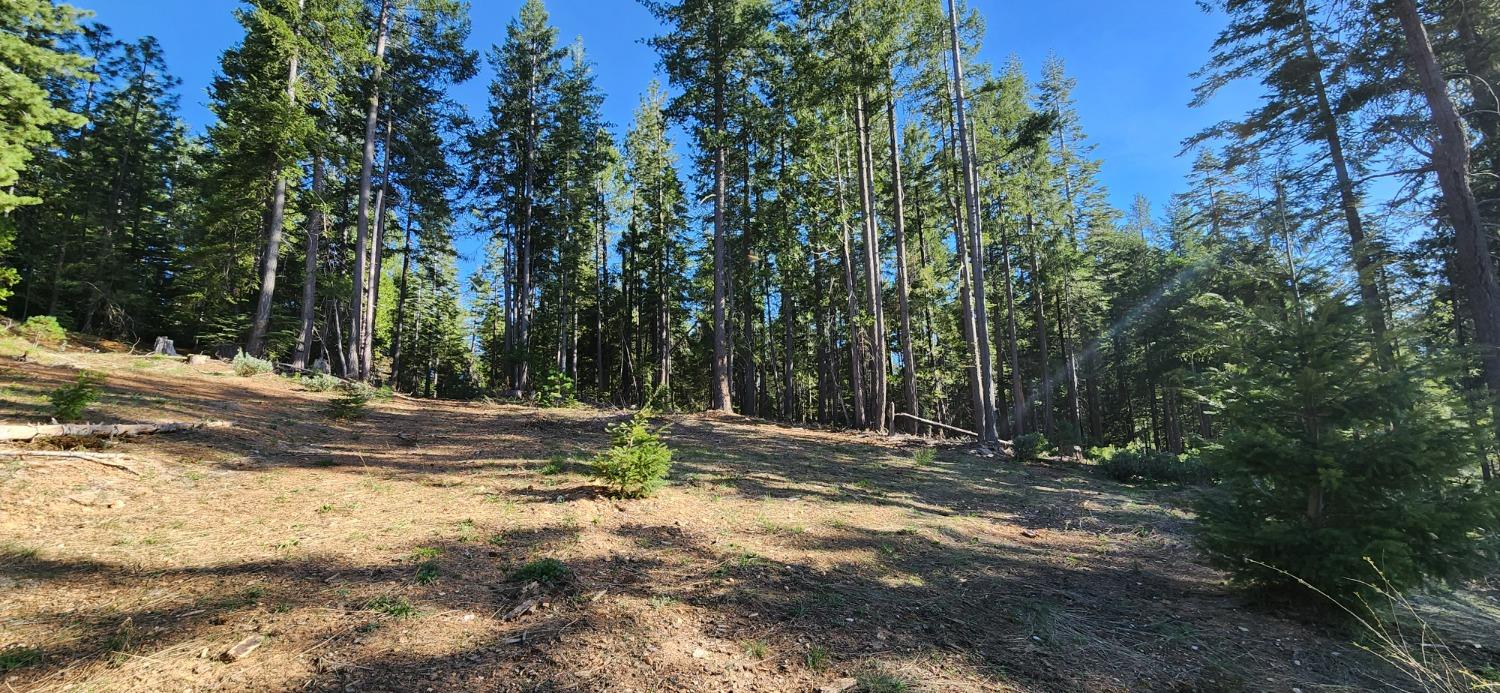 Detail Gallery Image 21 of 21 For 18286 Gaston Rd, Nevada City,  CA 95959 - – Beds | – Baths