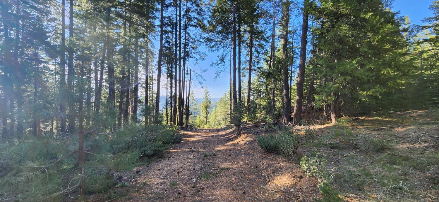 Detail Gallery Image 11 of 21 For 18286 Gaston Rd, Nevada City,  CA 95959 - – Beds | – Baths