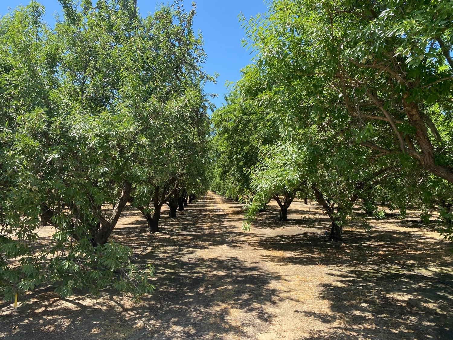 Pioneer Road, Hughson, California image 11