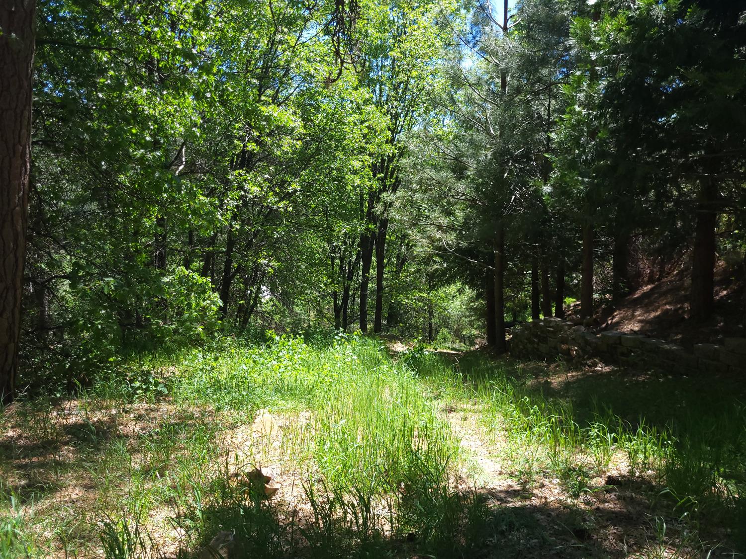 Cedar Drive, Hathaway Pines, California image 7