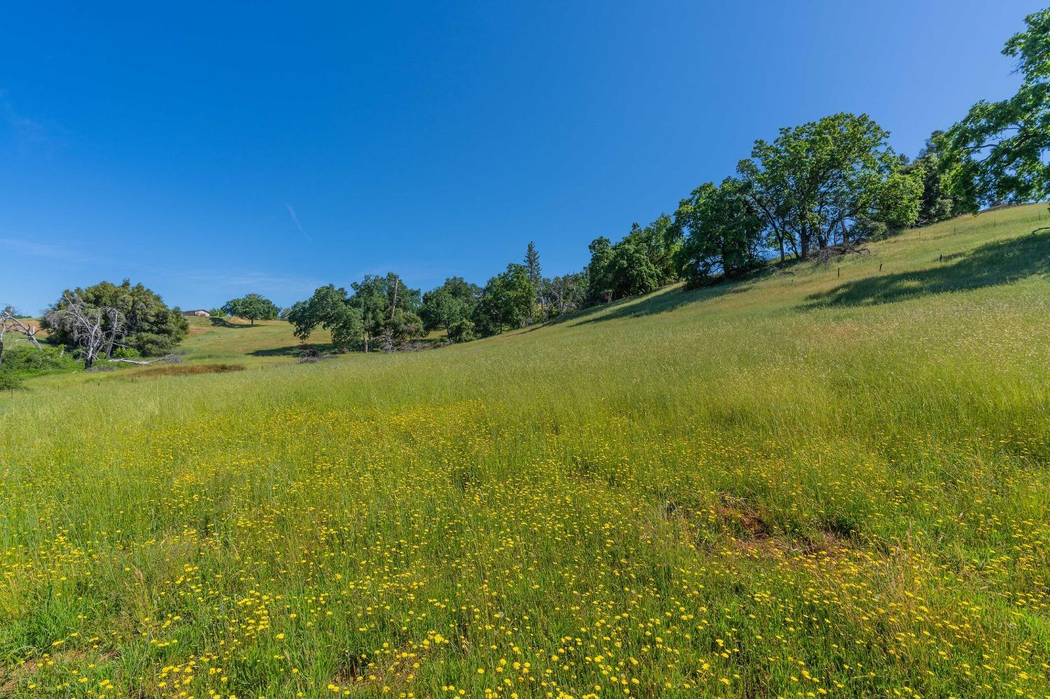 Highway 26, Mokelumne Hill, California image 11