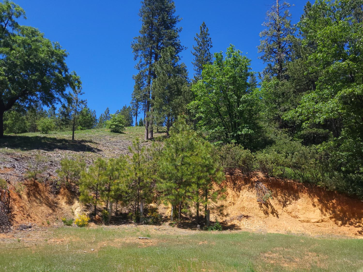 Cedar Drive, Hathaway Pines, California image 1