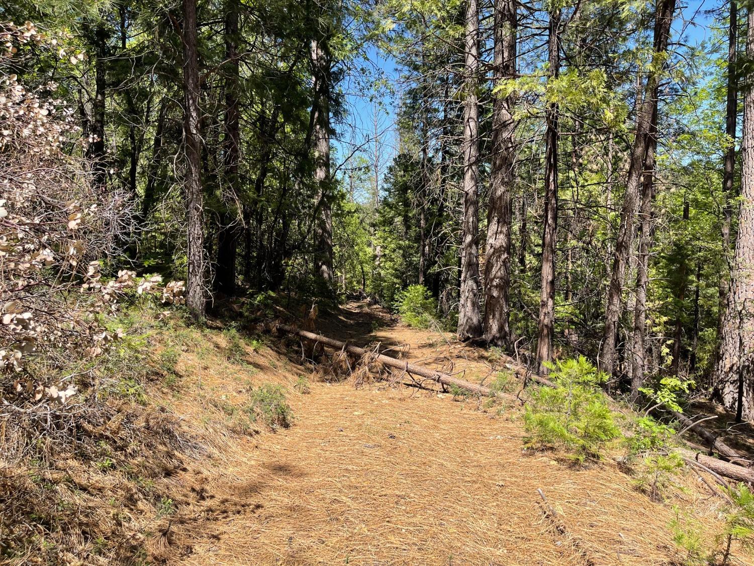 Photo of Iowa Hill Rd in Colfax, CA