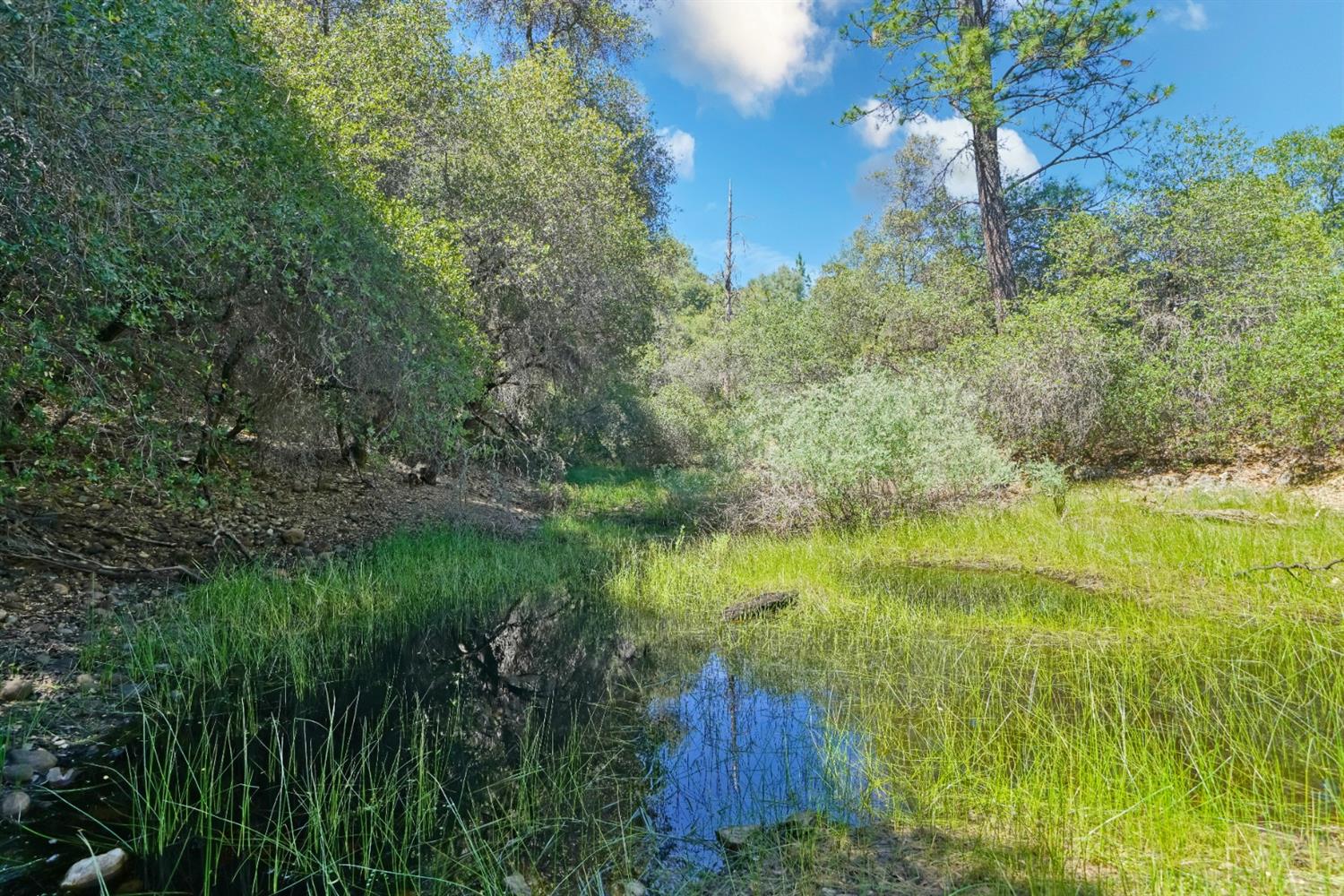 Photo of 3501 Elysian Wy in Placerville, CA