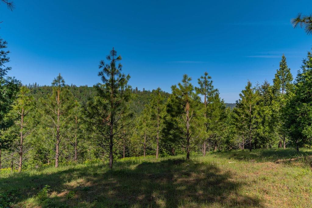 Schaefer Ranch Rd, Pioneer, California image 8