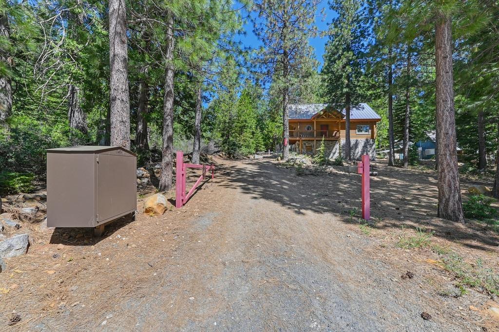 Skyline Drive, Emigrant Gap, California image 8