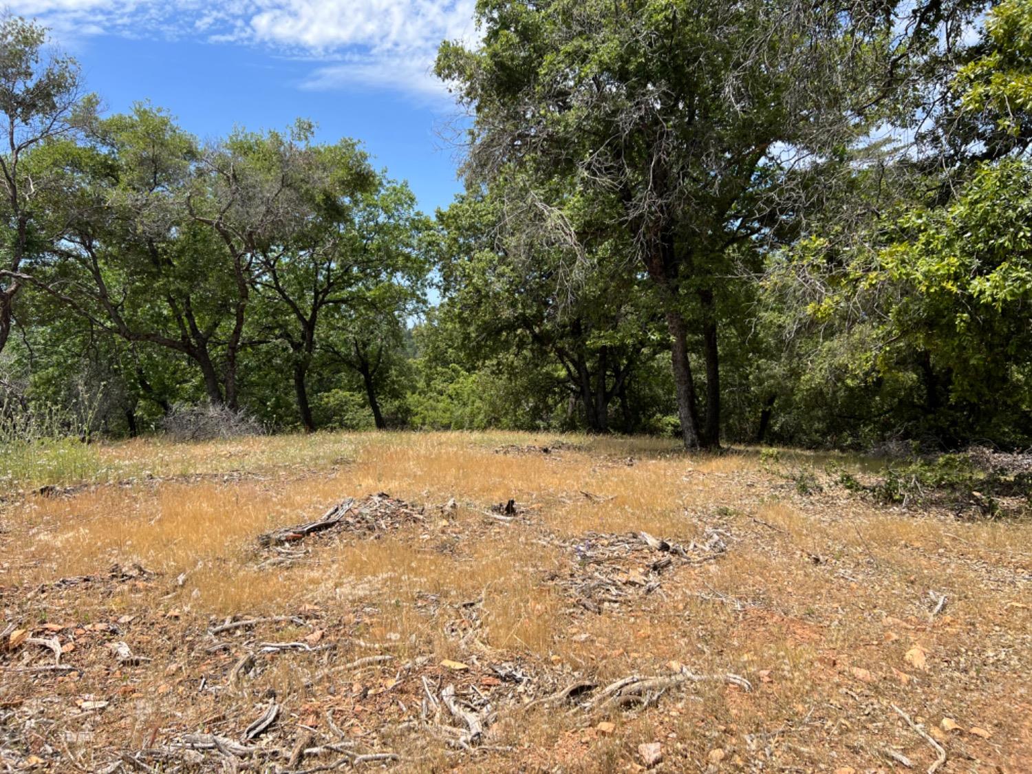 Fig Tree Lane, Pine Grove, California image 8