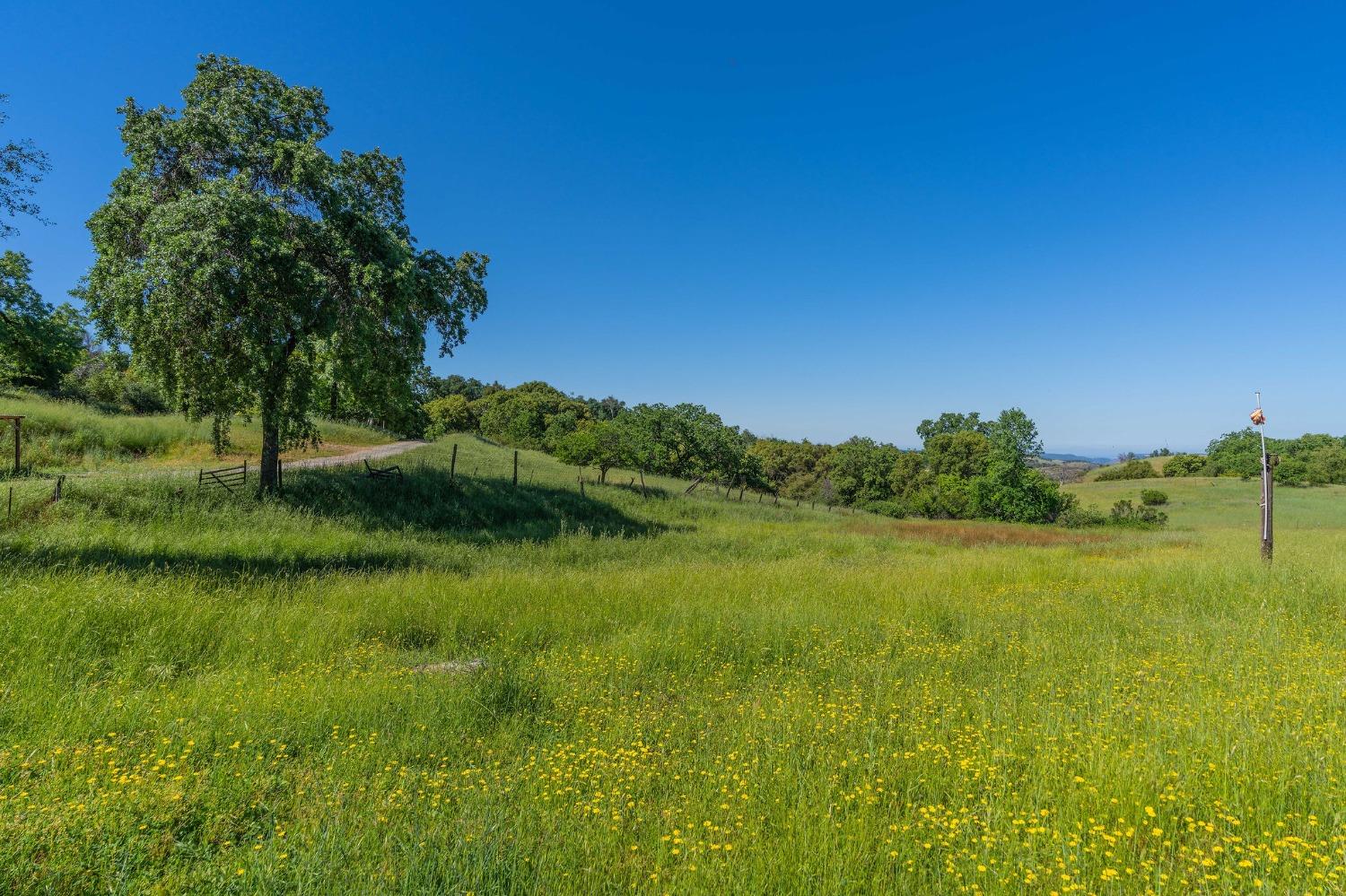 Highway 26, Mokelumne Hill, California image 9