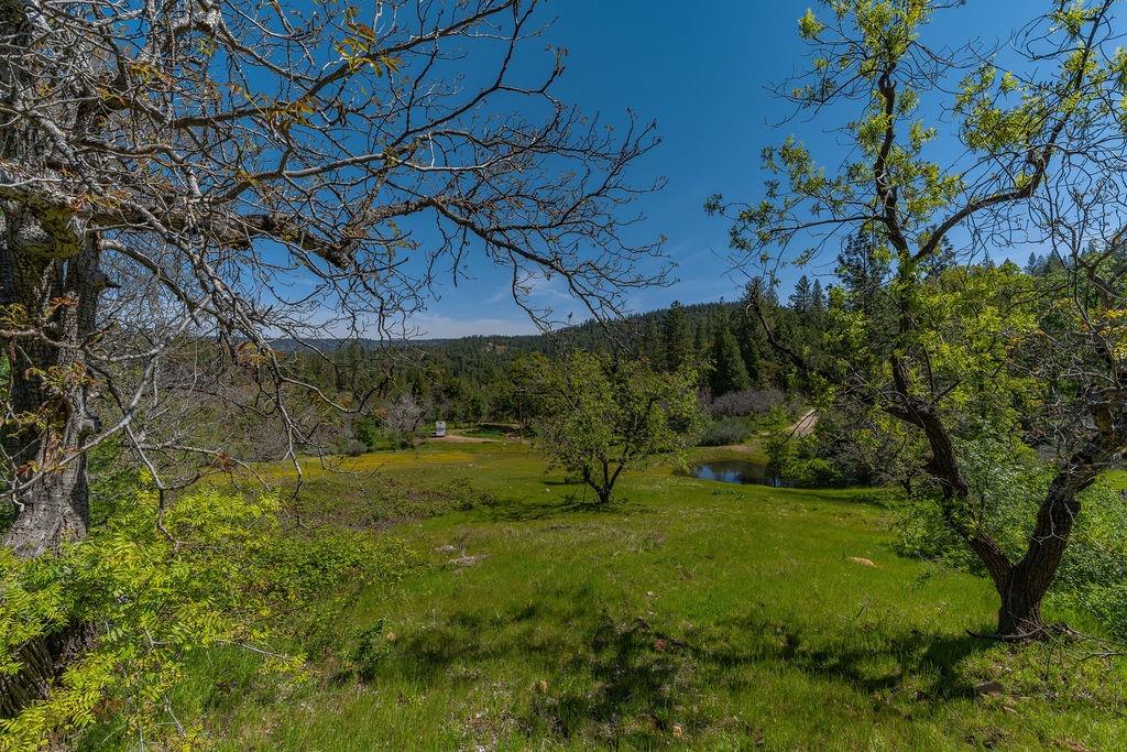 Schaefer Ranch Rd, Pioneer, California image 7