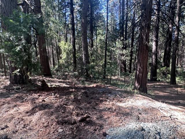 Detail Gallery Image 1 of 1 For 0 W Allan Rd, Volcano,  CA 95689 - – Beds | – Baths