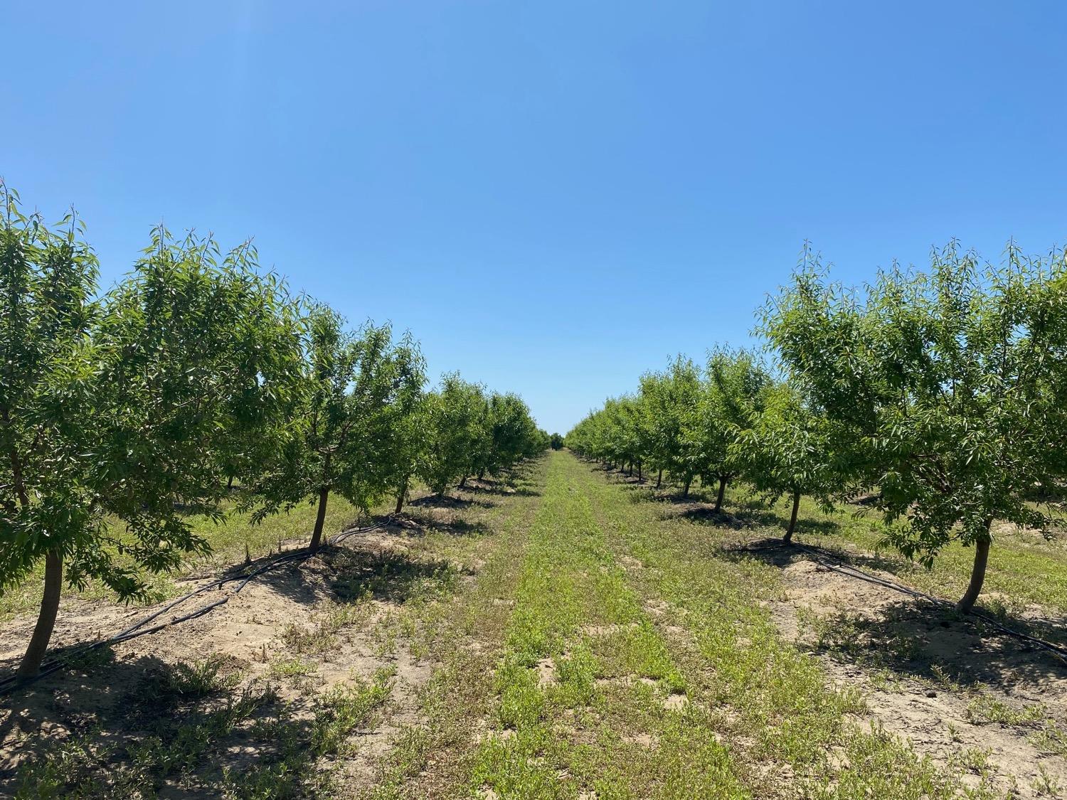 Pioneer Road, Hughson, California image 1