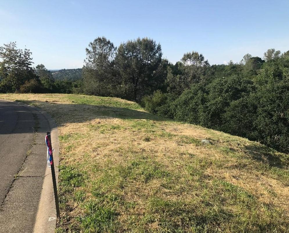 Photo of 4217 Hensley Cir in El Dorado Hills, CA