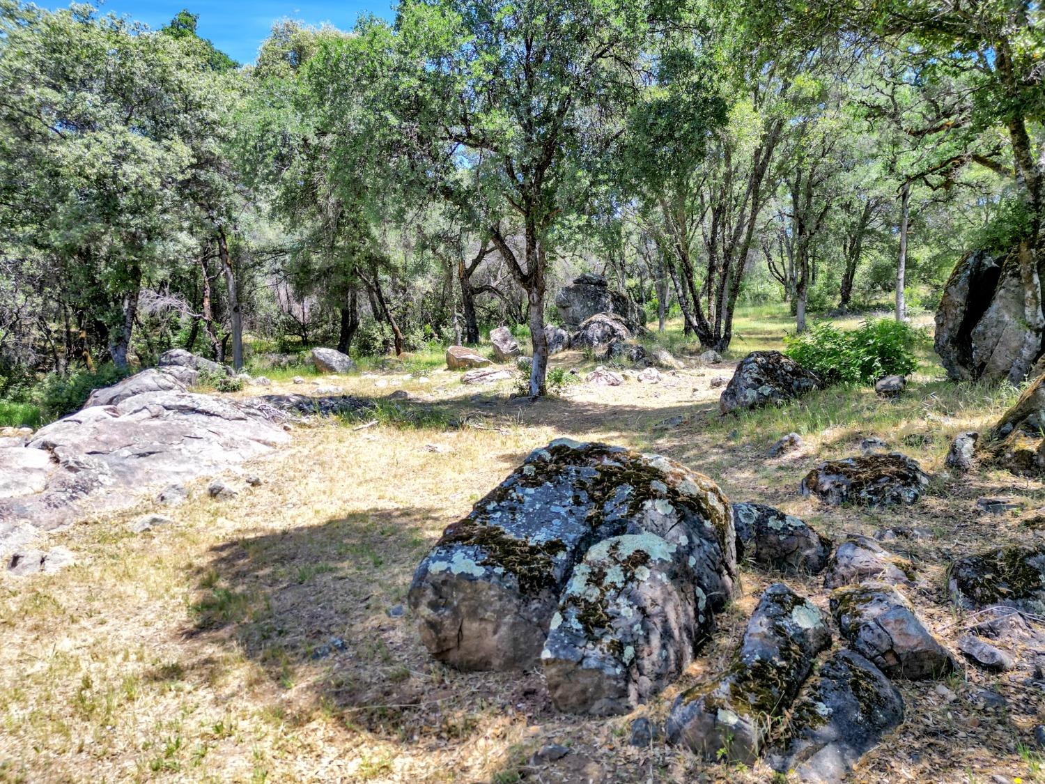 Maidu Trail, Penn Valley, California image 48