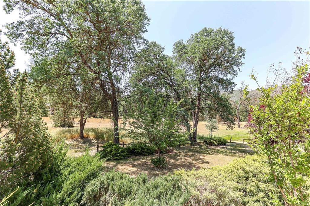 Lakeview Drive, Mariposa, California image 15