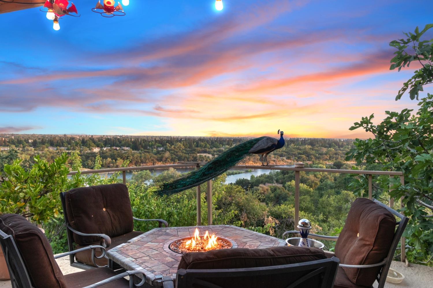 Photo of 8748 Bluff Ln in Fair Oaks, CA