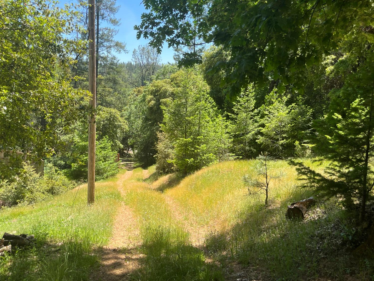 Photo of 1300 Live Oak Rd in Colfax, CA