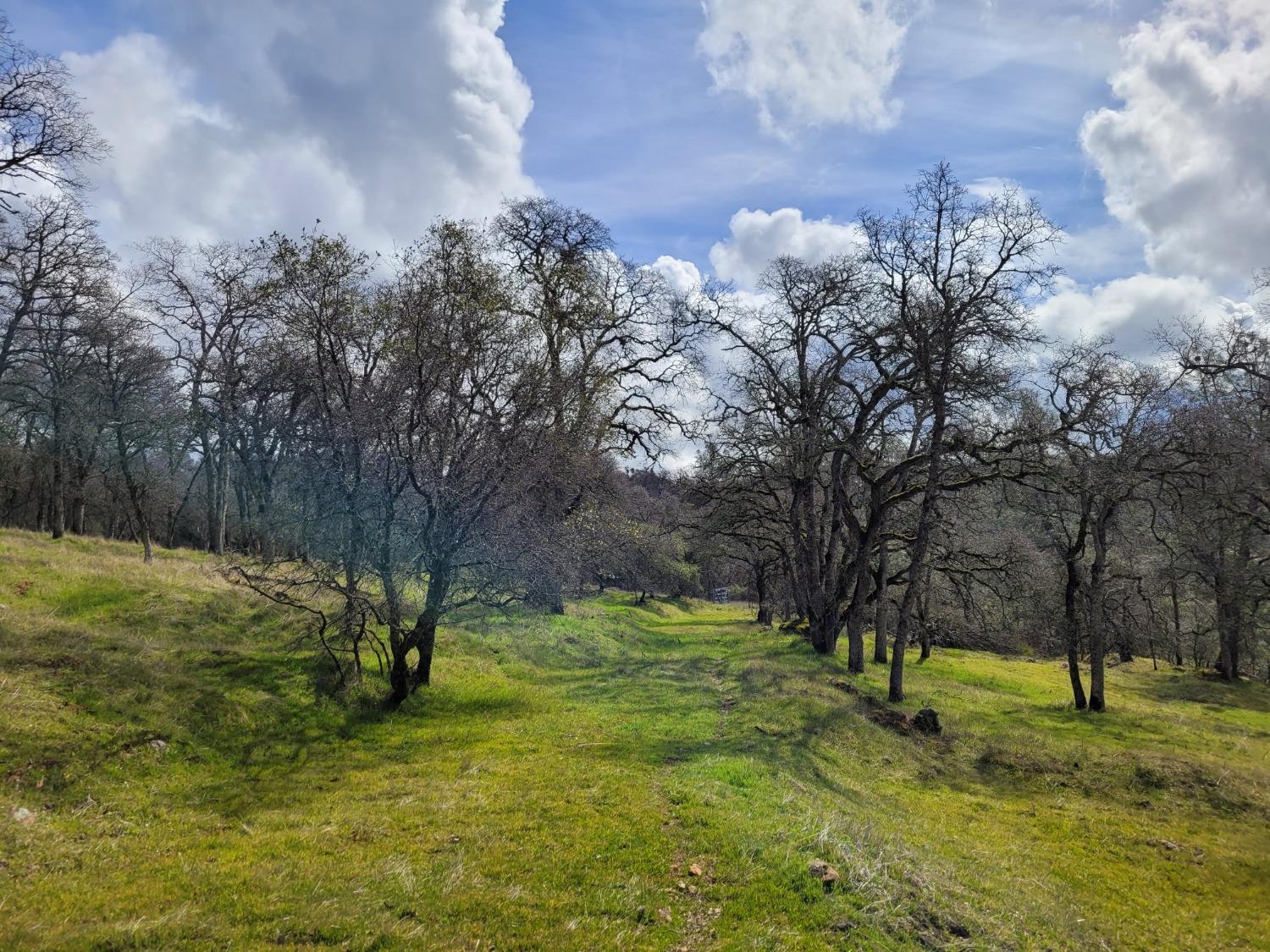 Photo of 10-Acres Desperation Dr in Shingle Springs, CA