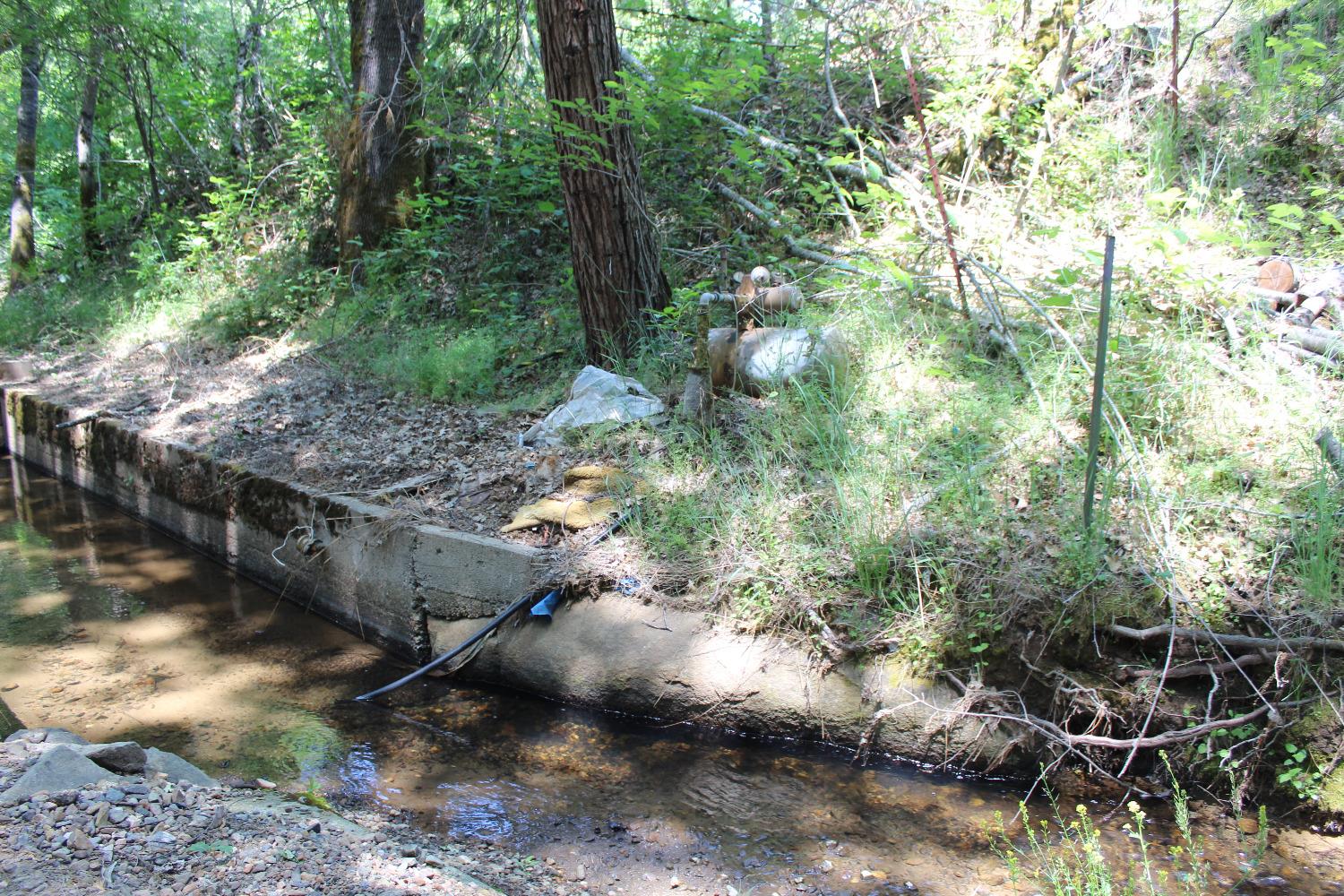 Cottontail Road, Placerville, California image 7