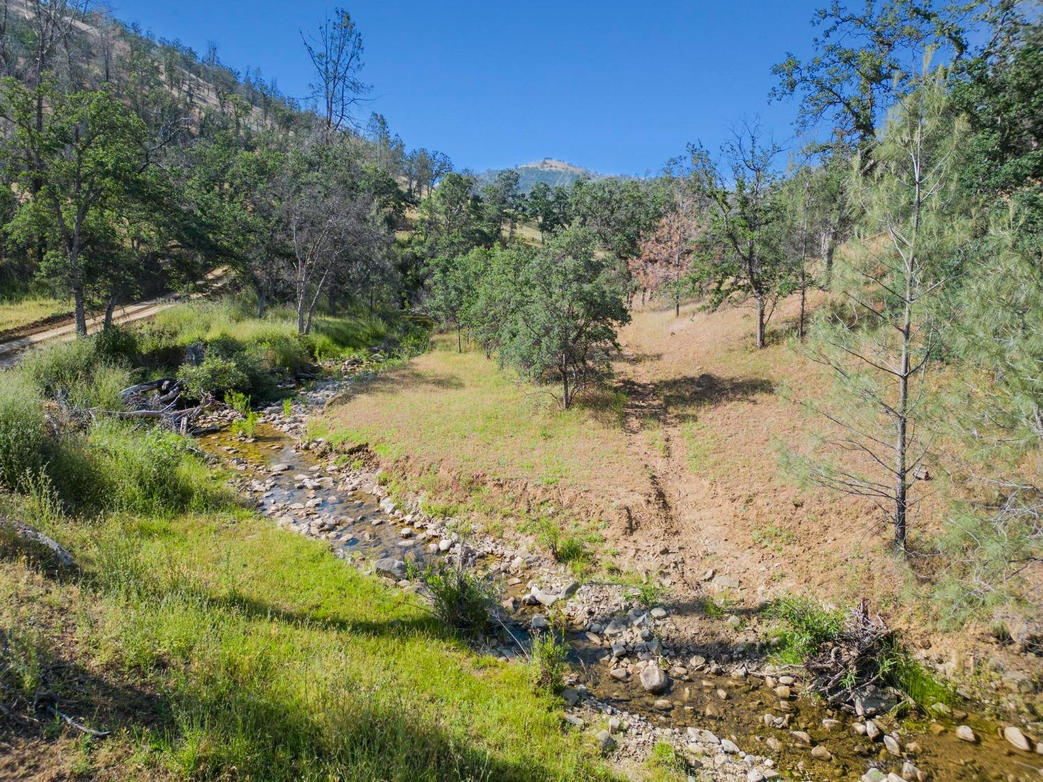 Sites Lodoga Rd, Lodoga, California image 6